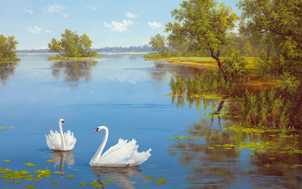 Slava, SWANS ON THE LAKE (LANDSCHAFT NOSTALGIE)