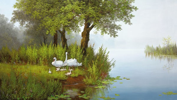 Slava, SWANS AT THE POND I (LANDSCHAFT)