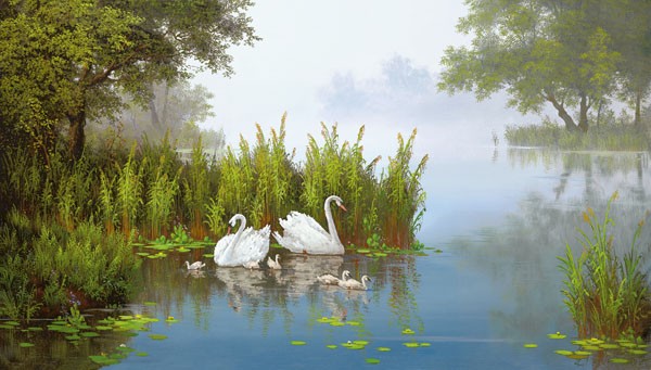 Slava, SWANS AT THE POND II (LANDSCHAFT)