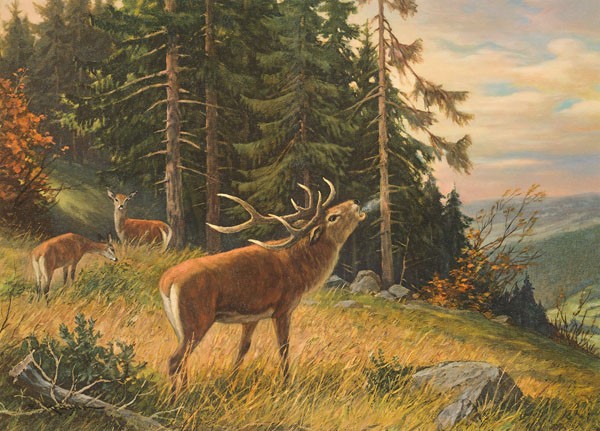 E. Krüger, HIRSCH AM MORGEN (Wald, Landschaften, natur, Hirsch, röhrender Hirsch, maäjestätisch, Rehe, Morgendunst, Nostalgie, Malerei, Esszimmer, Wohnzimmer, Wunschgröße, bunt)