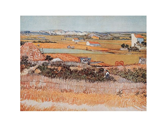 Vincent van Gogh, Vegetable Garden (Offset) (Felder, Bauernhöfe, Gemüsegärten, Landwirtschaft, Südfrankreich, Impressionismus, Klassiker, Wohnzimmer, Arztpraxis, bunt)