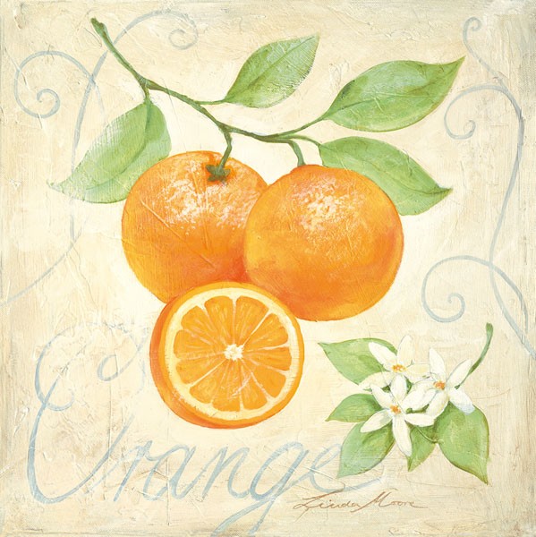 Linda Moore, ORANGE (Malerei, Orange, Studie, halbe Orange, Zitrusfrucht, Obst, Orangenblüten, Botanik, Nostalgie, Küche, Bistro, Esszimmer, Wunschgröße, bunt)