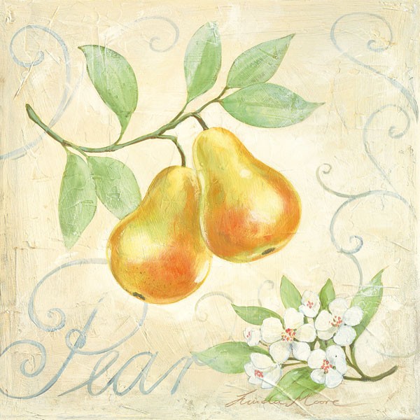 Linda Moore, PEAR (Malerei, Birnen, Studie, kernobst, Obst, Birnbaumblüten, Botanik, Nostalgie, Küche, Bistro, Esszimmer, Wunschgröße, bunt)
