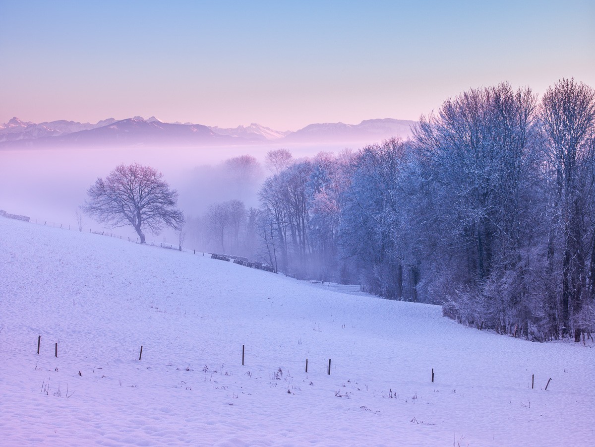 Konfiguration benutzen (Winterlandschaft, Schnee, Bäume, Dunst, Dämmerung, Schweiz, Jahreszeit, Wunschgröße, Fotokunst, Wohnzimmer, Treppenhaus,)