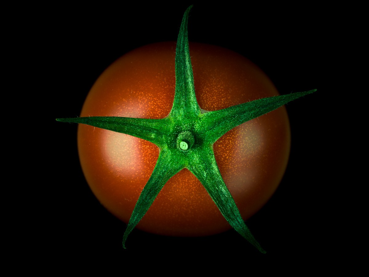 Konfiguration benutzen (Tomate, Frucht, reif, Nahaufnahme,  Wunschgröße, Fotokunst, Wohnzimmer, Treppenhaus, Küche, rot/schwarz)