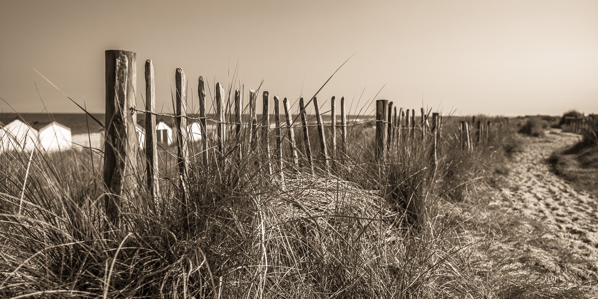 Konfiguration benutzen (Landschaft, Düne, Strand, Meer, Zaun, Wunschgröße, Fotokunst, Wohnzimmer, Treppenhaus, grau/weiß)