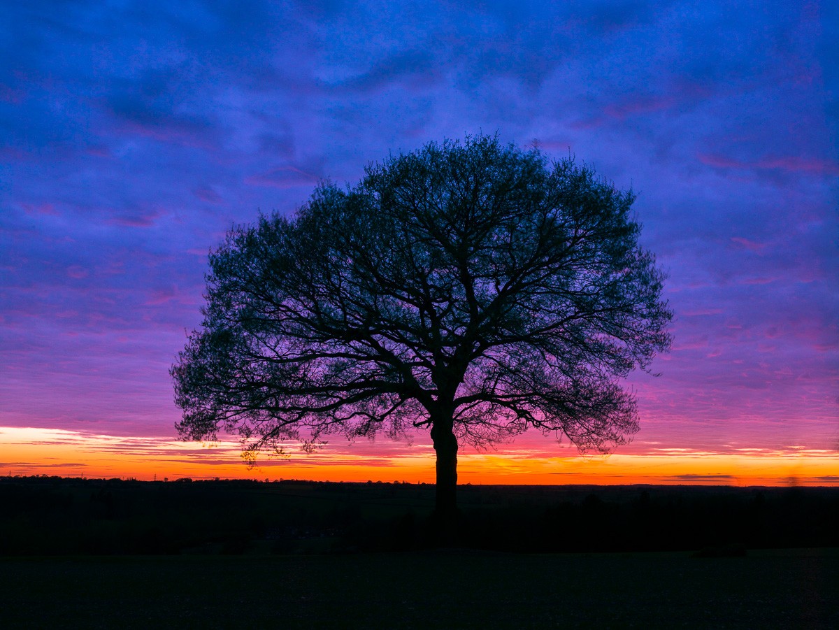 Konfiguration benutzen (Landschaft, Natur, Baum, Sonnenuntergang, Horizont, Landschaftsfotografie,  Panorama, Wunschgröße, Fotokunst, Wohnzimmer,  Schlafzimmer)