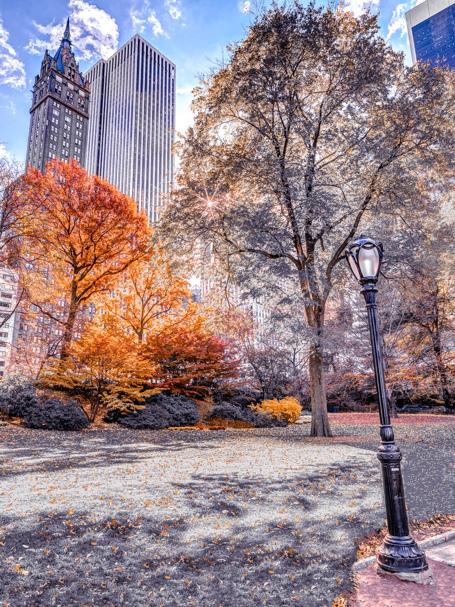 Konfiguration benutzen (Großstädte, Metropole, New York, Skyline, Park, Bäume, Herbst, Architektur, Parkweg, Laterne, Wunschgröße, Fotokunst, Wohnzimmer, Treppenhaus, grau/orange)