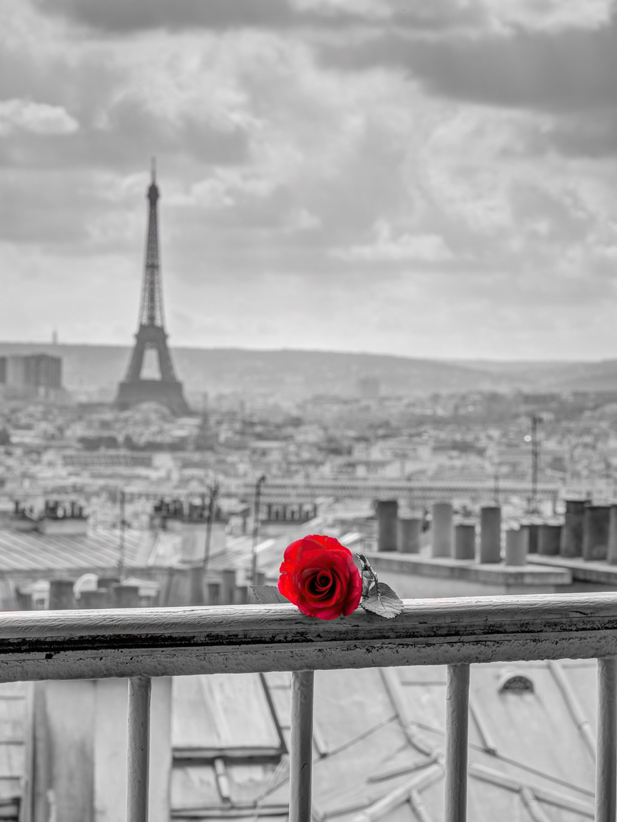Konfiguration benutzen (Städte, Metropole, Paris, Eiffelturm, Balkon, Geländer, rote Rose, Colorspot, Wunschgröße, Fotokunst, Wohnzimmer, Treppenhaus, schwarz/weiß/rot)