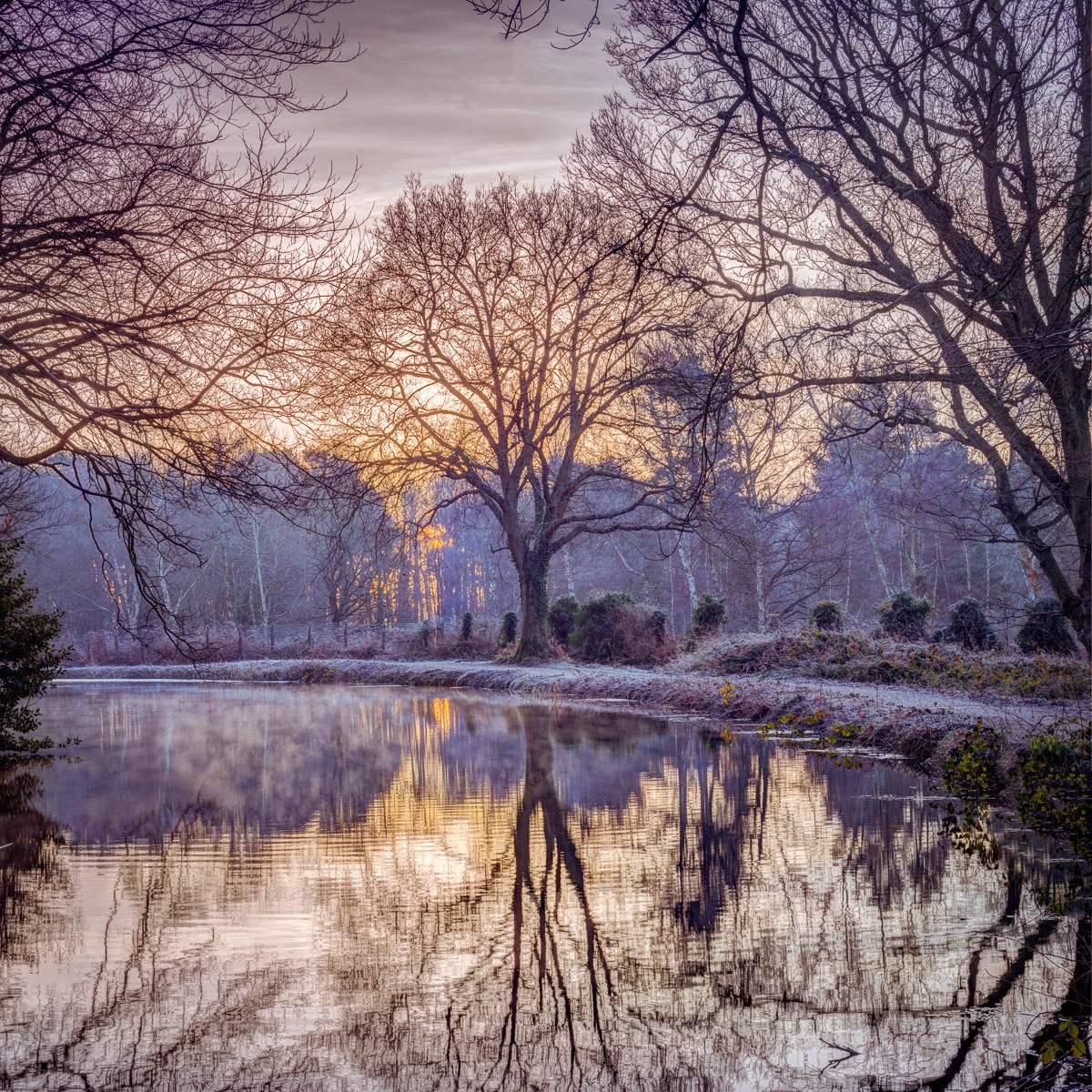 Konfiguration benutzen (Landschaft, Kanal, Winter, Bäume, kahl, Spiegelungen, Wunschgröße, Fotokunst, Wohnzimmer, Treppenhaus, bunt)