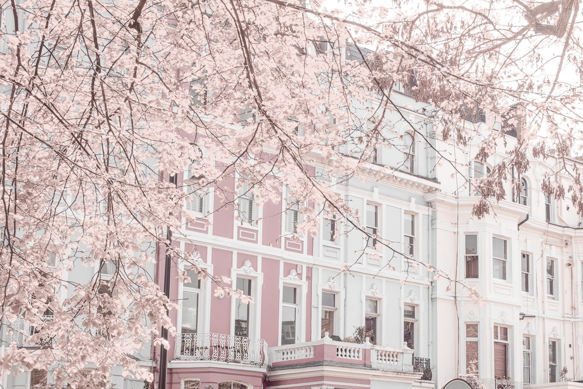 Konfiguration benutzen (Straße, London, Notting Hill, Frühling, Baum, blüten, Gebäude, Architektur, Wunschgröße, Fotokunst, Wohnzimmer, Treppenhaus,  bunt)