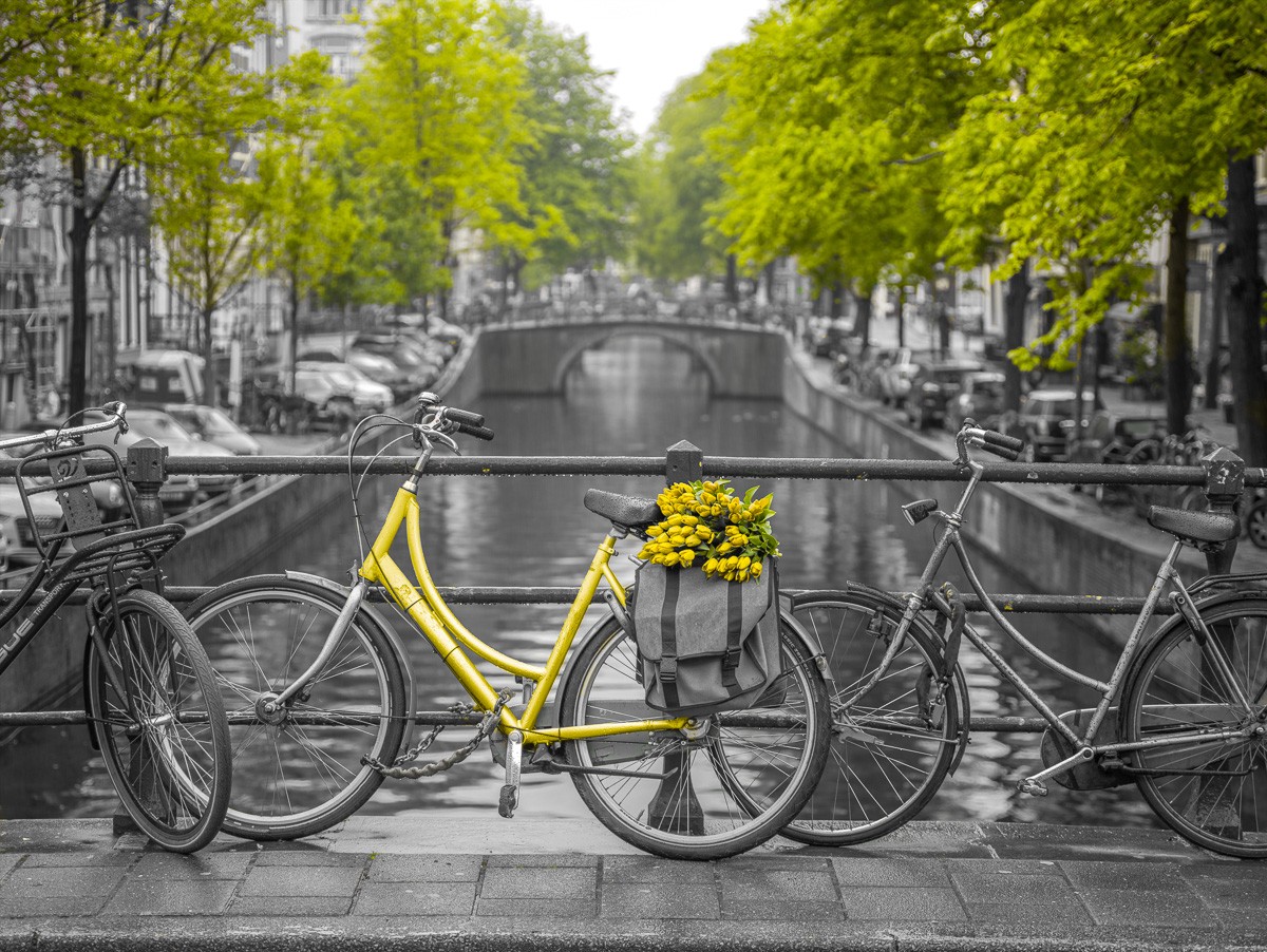 Konfiguration benutzen (Gracht, Kanal, Amsterdam, Städte, Geländer, Fahrräder, Colorspot, Wunschgröße, Fotokunst, Wohnzimmer, Treppenhaus, schwarz/weiß, grüngelb)