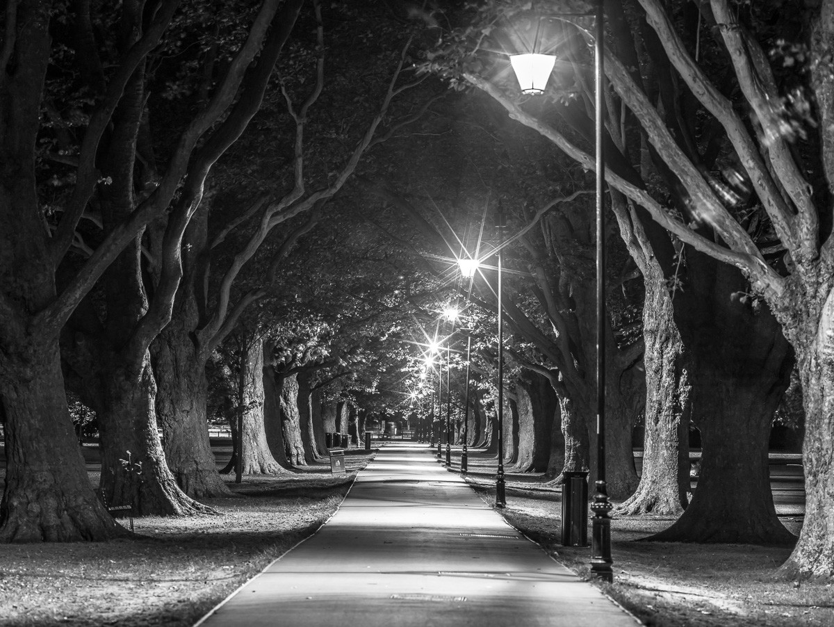 Konfiguration benutzen (Park, Bäume, Laternen, Nachtszene, Beleuchtung, Parkweg, Weg, Einsamkeit, Wunschgröße, Fotokunst, Wohnzimmer, Treppenhaus, schwarz/weiß)