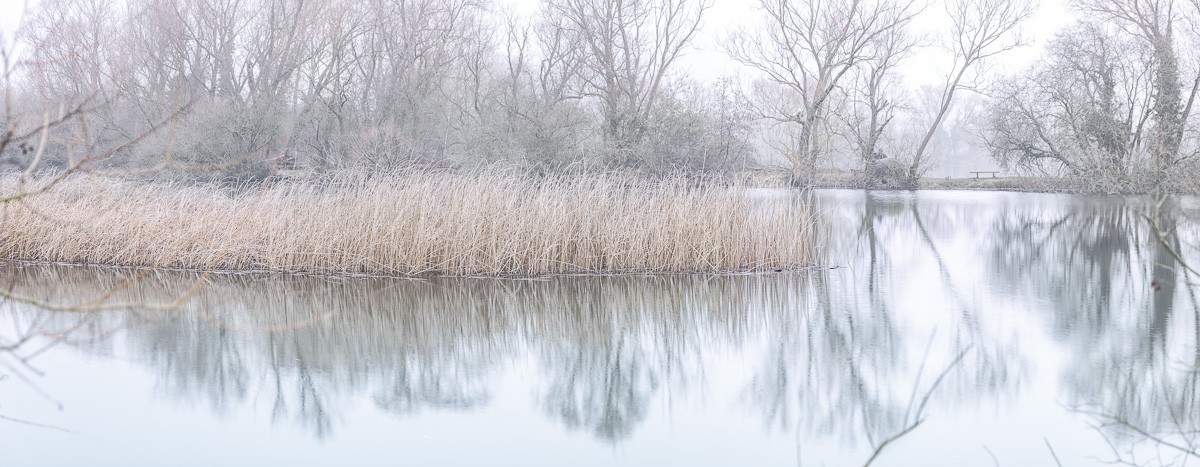 Konfiguration benutzen (Kanal, Schilf, Schilfgras, Dunst, Nebel, Spiegelung, Ruhe, Stille, kahle Bäume, Wunschgröße, Fotokunst, Wohnzimmer, Treppenhaus, bunt)