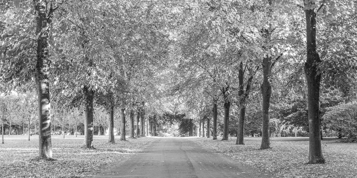Konfiguration benutzen (Landschaft, Park, Pargweg, Bäume, Jahreszeit, Wunschgröße, Fotokunst, Wohnzimmer, Treppenhaus, schwarz/weiß)