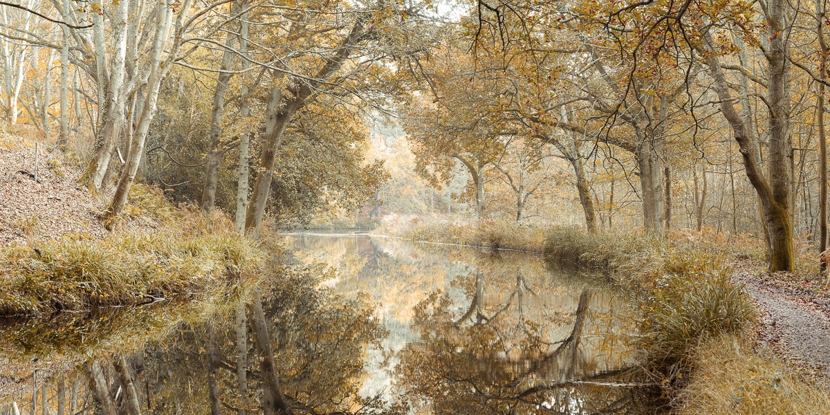 Konfiguration benutzen (Wald, Natur, Bäume, Wanderweg, Kanal, Landschaft, Herbst, Jahreszeit, Wunschgröße, Fotokunst, Wohnzimmer, Treppenhaus, bunt)