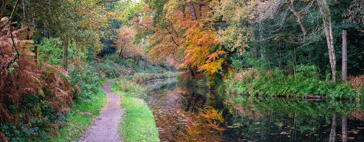 Konfiguration benutzen (Wald, Natur, Bäume, Wanderweg, Kanal, Landschaft, Herbst, Jahreszeit, Wunschgröße, Fotokunst, Wohnzimmer, Treppenhaus, bunt)