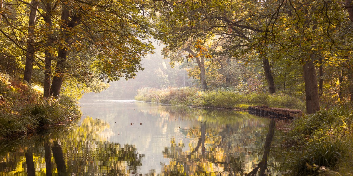 Konfiguration benutzen (Wald, Bäume, Natur, Kanal, Landschaft, Stille, Ruhe, Idylle, Wunschgröße, Fotokunst, Wohnzimmer, Treppenhaus, bunt)