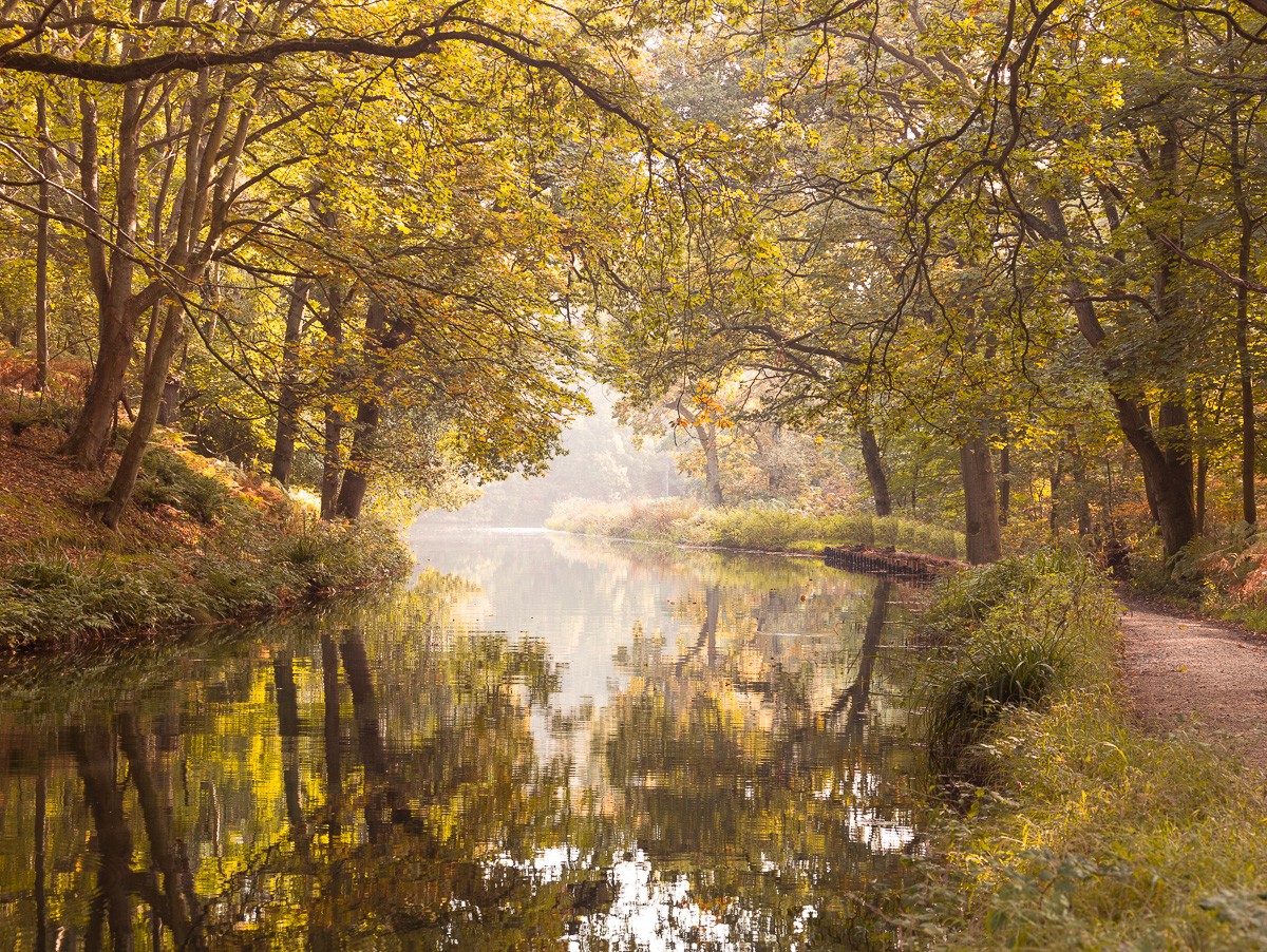 Konfiguration benutzen (Wald, Bäume, Natur, Kanal, Landschaft, Stille, Ruhe, Idylle, Wunschgröße, Fotokunst, Wohnzimmer, Treppenhaus, bunt)