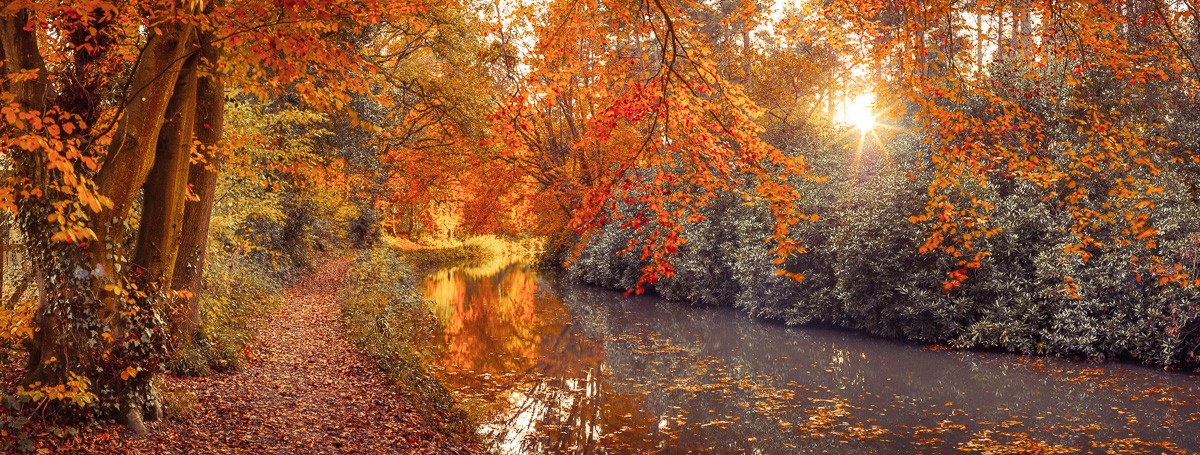 Konfiguration benutzen (Park, Bäume, Kanal, Parkweg, Weg, Idylle, Herbst, Jahreszeit, Wunschgröße, Fotografie, Wohnzimmer, Treppenhaus,  bunt)