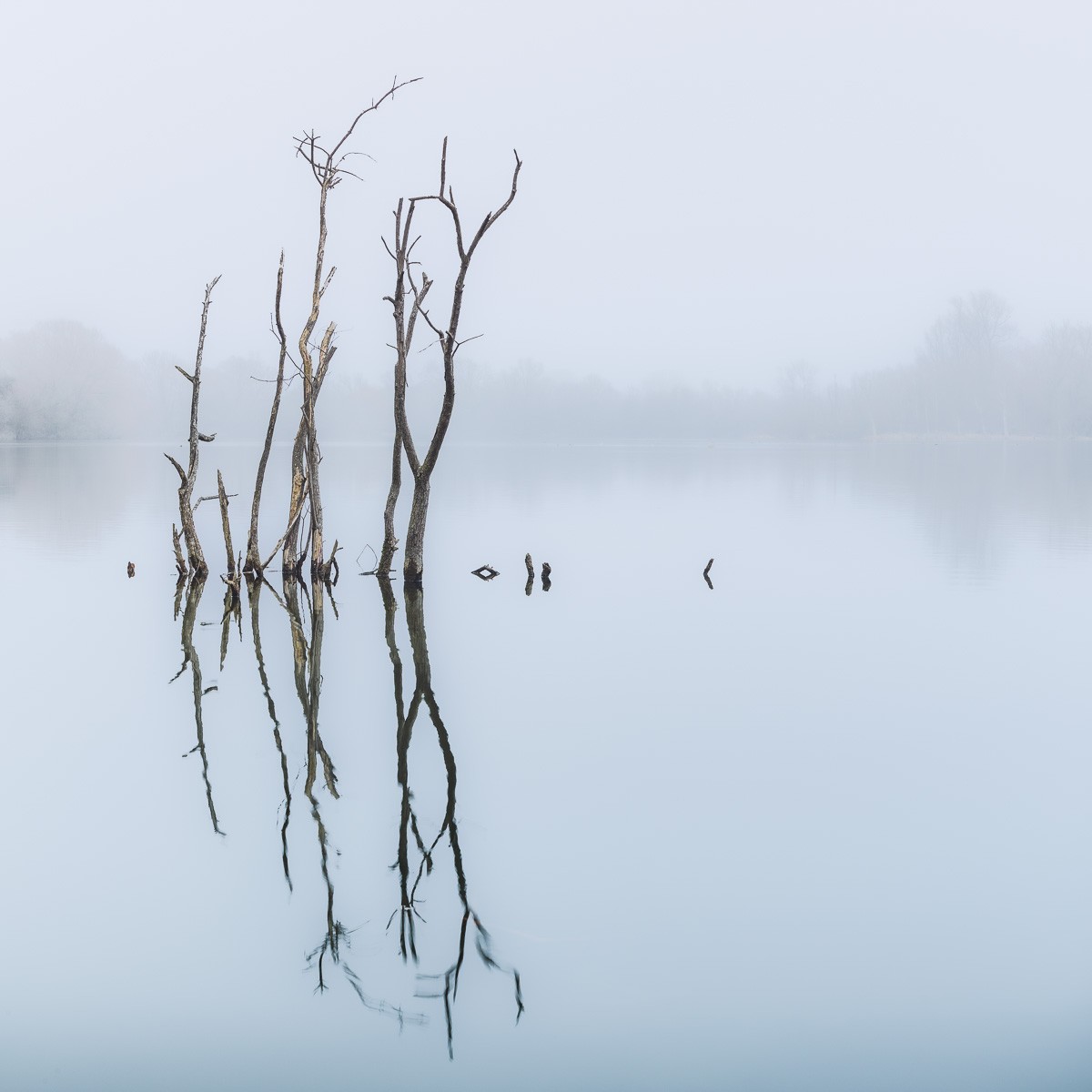 Konfiguration benutzen (Teich, Wasseroberfläche, kahle Zweige, Dunst, Nebel, Spiegelung, Ruhe, Stille, mystisch, Wunschgröße, Fotokunst, Wohnzimmer, Treppenhaus, bunt)