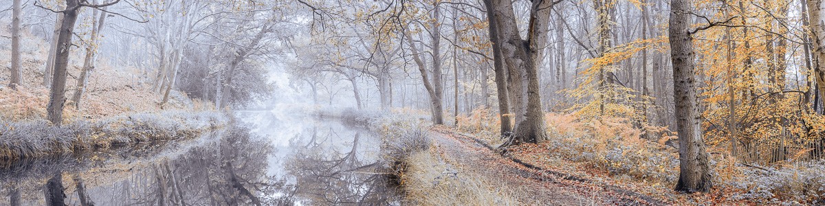 Konfiguration benutzen (Wald, Natur, Bäume, Wanderweg, Kanal, Landschaft, Herbst, Jahreszeit, Nebel, Dunst, Wunschgröße, Fotokunst, Wohnzimmer, Treppenhaus, bunt)
