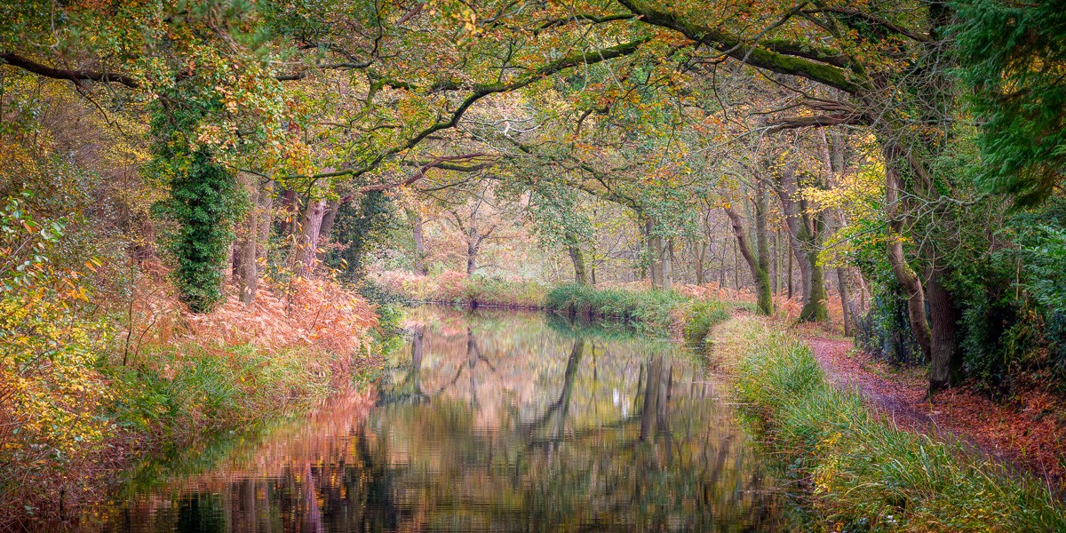 Konfiguration benutzen (Wald, Natur, Bäume, Wanderweg, Kanal, Landschaft, Herbst, Jahreszeit, Wunschgröße, Fotokunst, Wohnzimmer, Treppenhaus, bunt)