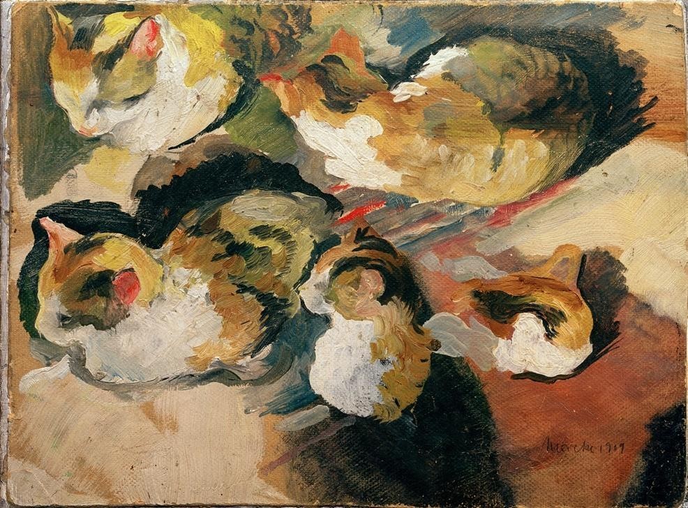 August Macke, Katzenstudien (Deutsche Kunst,Katze (Tier),Kunst,Zoologie,Expressionismus,Studie,Haustier,Tierleben,Tier,Jahrhundertwende,Privatsammlung)