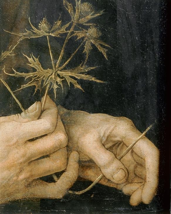 Albrecht Dürer, Selbstbildnis (Renaissance,Portrait)