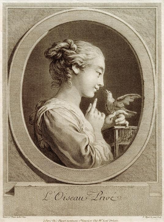 Francois Boucher, L’Oiseau Privé (Frau,Mensch,Vogel,Rokoko,Zähmung,Tierliebe,Französische Kunst,Vogelkäfig,Frau Und Tier,Haarknoten,Frauenleben,Profil,Junge Frau,Kanarienvogel)