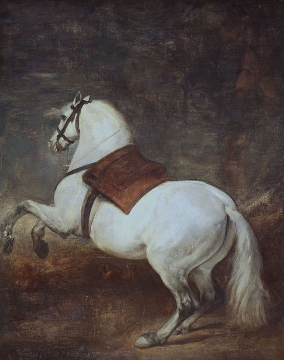 Diego Rodriguez de Silva y Velasquez, Steigendes Pferd (Biologie,Kunst,Pferd (Tier),Zoologie,Barock,Spanische Kunst,Tier,Schimmel (Pferd))