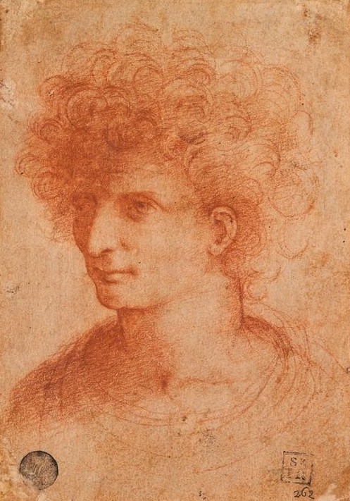 Leonardo da Vinci, Portrait, junger Mann (Mann,Renaissance,Schatten,Lampe,Portrait,Italienische Kunst,Sanguiniker,Nahaufnahme,Vertikale,Frisur)