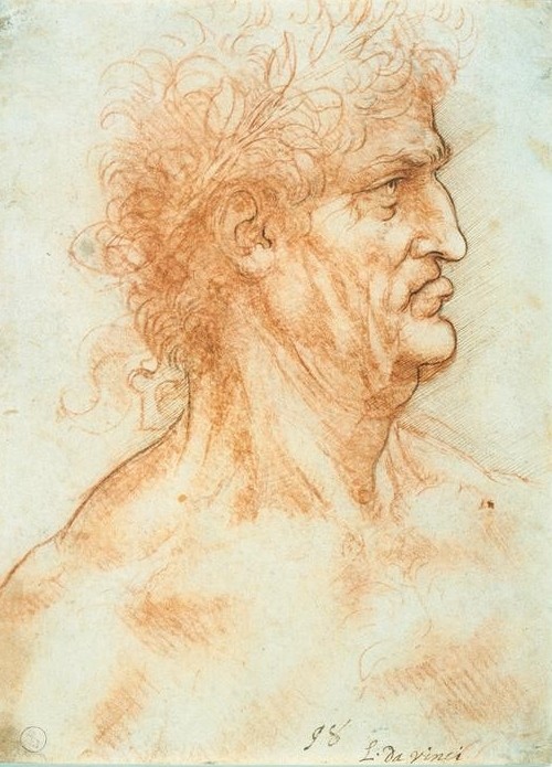 Leonardo da Vinci, Profilstudie eines älteren Mannes mit Lorbeerkranz (Kunst,Mann,Lorbeer,Renaissance,Schatten,Lampe,Portrait,Studie,Italienische Kunst,Kopfstudie,Profil,Hakennase,Alter Mann,Mimik,Schlechte Laune,Kranz,Vertikale,Frisur,Kurze Haare)