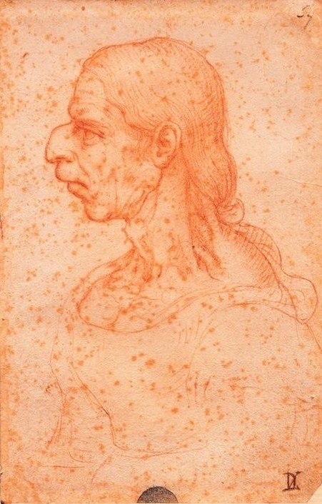 Leonardo da Vinci, Grotesker Kopf einer alten Frau im Profil (Frau,Karikatur,Kunst,Mensch,Alter,Renaissance,Portrait,Groteske,Italienische Kunst,Physiognomik,Profil,Hakennase,Hässlichkeit,Kopf,Alte Frau,Fliehendes Kinn,Gesichtsform,Falten (Physiognomie))