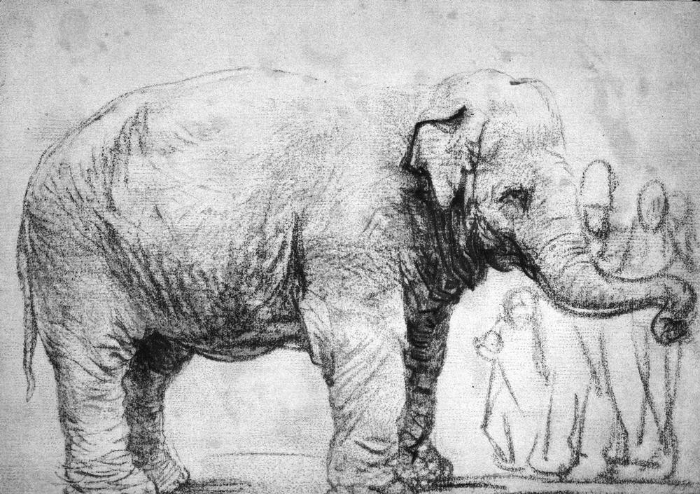 Rembrandt Harmenszoon van Rijn, Ein Elefant (Elefant,Zoologie,Barock,Niederländische Kunst,Holländische Kunst,Tier,Säugetier,Tierstudie)