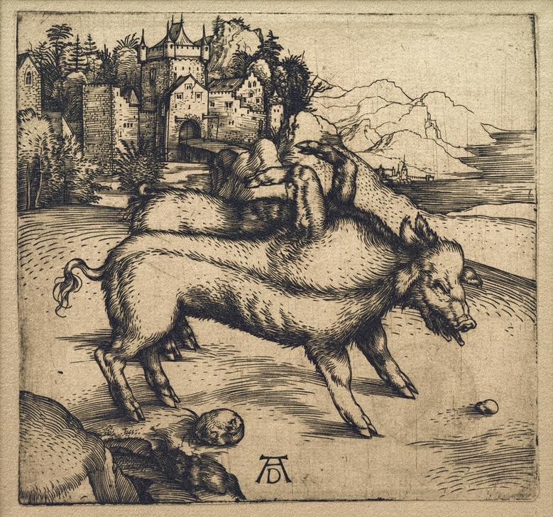 Albrecht Dürer, Die Missgeburt des Schweins von Landser (Deutsche Kunst,Kunst,Missgeburt,Schwein,Siamesische Zwillinge,Wildschwein,Zoologie,Gotik,Sensation,Spätgotik)
