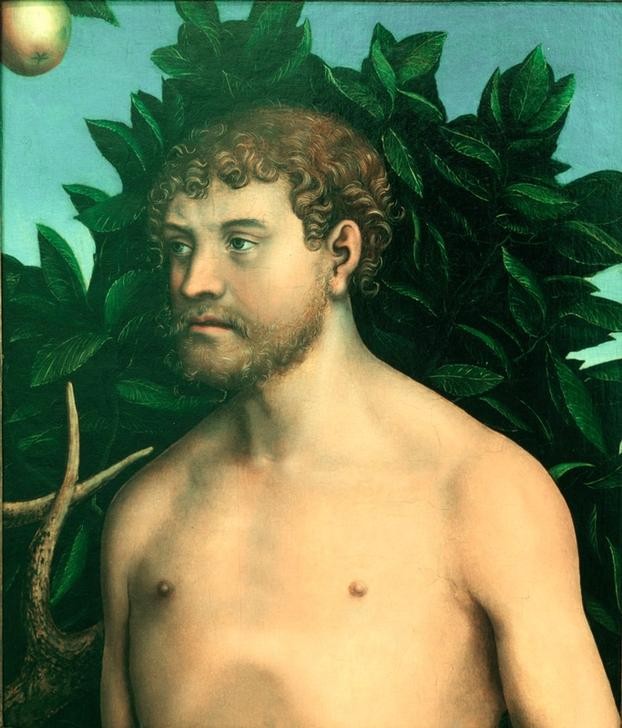 Lucas Cranach der Ältere, Adam (Altes Testament, Christentum, Bibel, Adam, Erster Mensch, Portrait, Apfel, Klassiker, Renaissance, Wunschgröße, Wohnzimmer,)