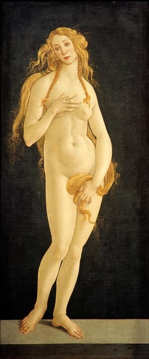 Sandro Botticelli, Venus (Venus, Göttin, Schönheit, Akt, Aktmalerei, junge Frau, Mythologie,Renaissance, Klassiker, Schlafzimmer, Wohnzimmer, Wunschgröße, bunt)