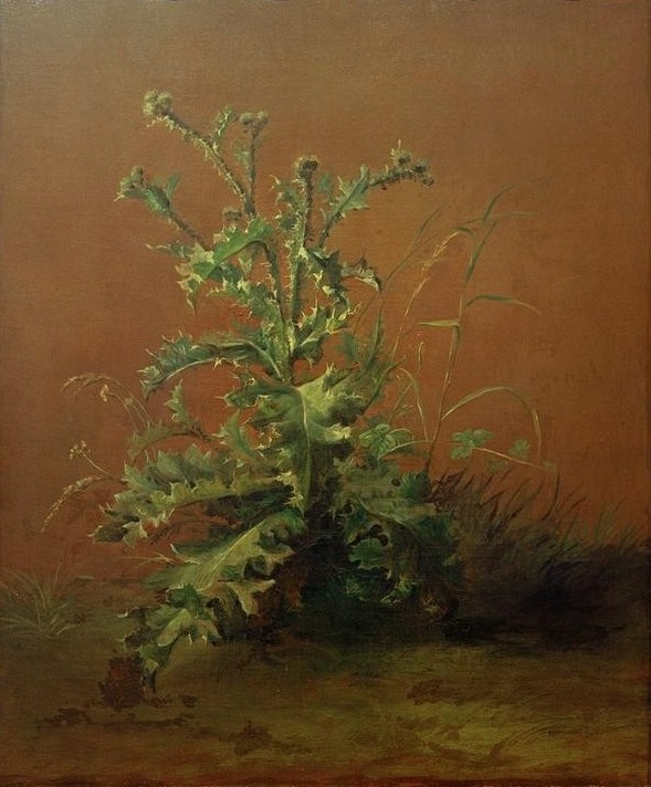 Edouard Manet, Die Distel (Botanik,Distel,Kunst,Realismus,Französische Kunst)