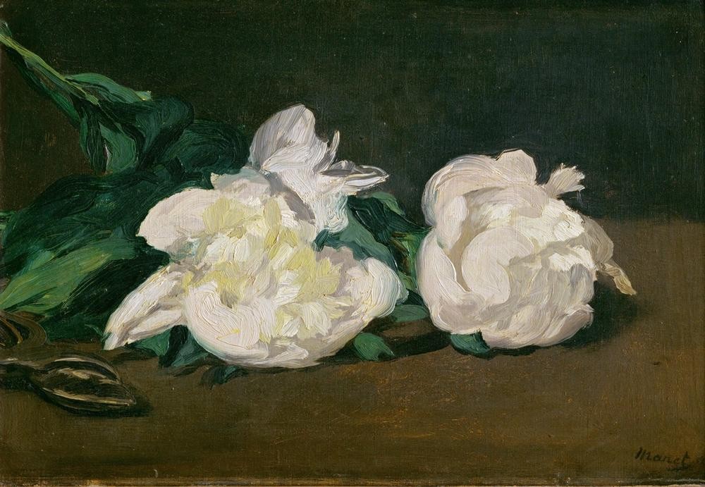 Edouard Manet, Branche de pivoines blanches et secateur (Kunst,Impressionismus,Werkzeug,Stillleben,Französische Kunst,Schere,Blume,Pfingstrose,Zweig,Gartenschere,Baumschnitt,Landwirtschaft)
