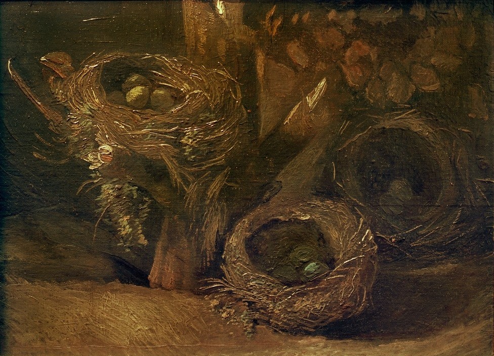 Vincent van Gogh, Vogelnester (Kunst,Stillleben,Ei,Vogelnest,Niederländische Kunst,Holländische Kunst)