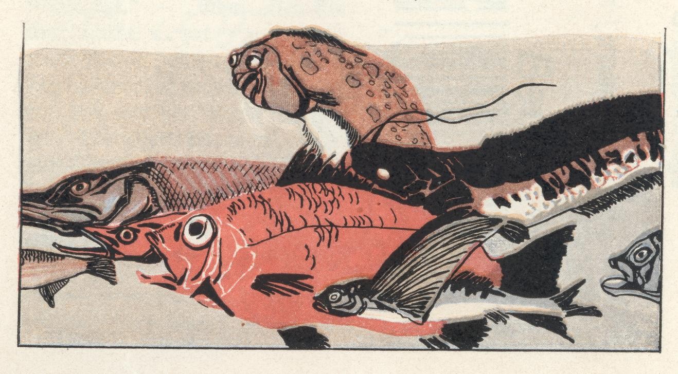 Carl Fahringer, Unbekannt (GESELLSCHAFT, KINDER- UND JUGENDBUCH, LASTER, LITERATUR, MÄRCHEN, SCHWIMMEN, FISCH, MORAL, TIERFABEL, WETTKAMPF, FABEL, ÖSTERREICHISCHE KUNST, NEID, ILLUSTRATION, BUCHILLUSTRATION, SAMMLUNG AKG-IMAGES, GERLACH & WIEDLING, PERSON, SYMBOLIK)