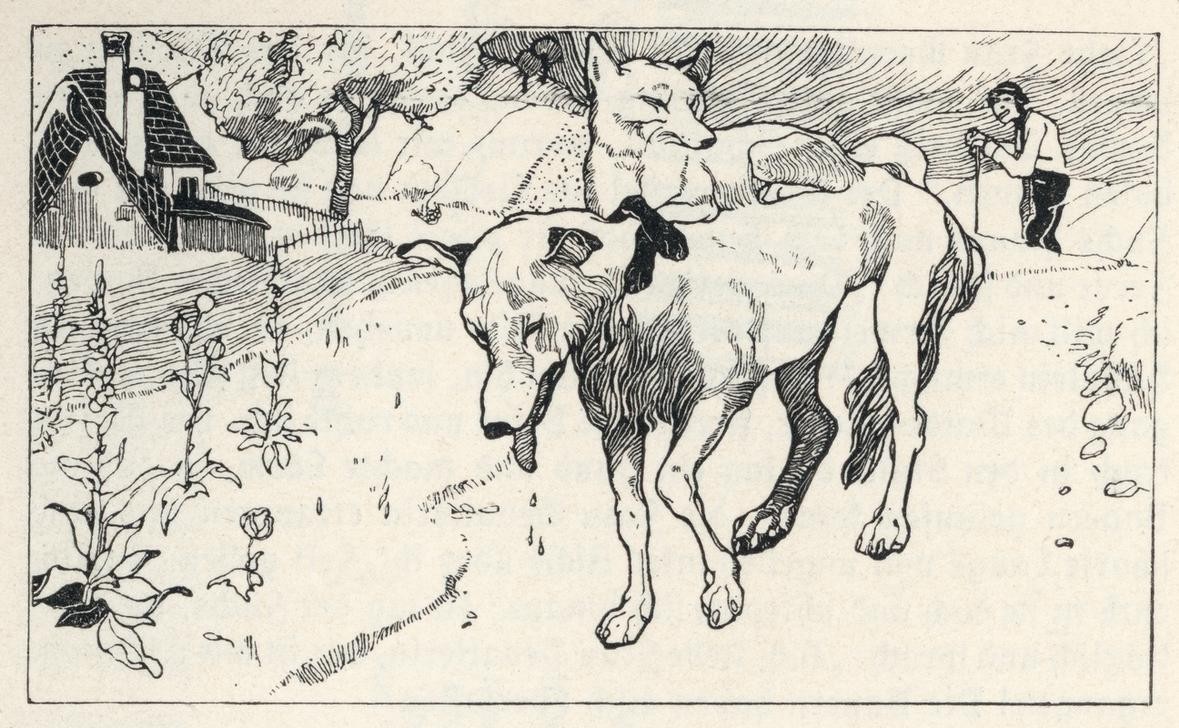 Carl Fahringer, Unbekannt (FUCHS, KINDER- UND JUGENDBUCH, LASTER, LITERATUR, MÄRCHEN, PÄDAGOGIK, WOLF, SPOTT, ERSCHÖPFUNG, MORAL, FABEL, MUTTERLIEBE, ÖSTERREICHISCHE KUNST, SADISMUS, ILLUSTRATION, HINTERHALT, BETRÜGER, BUCHILLUSTRATION, ENTTÄUSCHUNG, VERHÖHNUNG, LÜGEN, AUF DEM RÜCK)