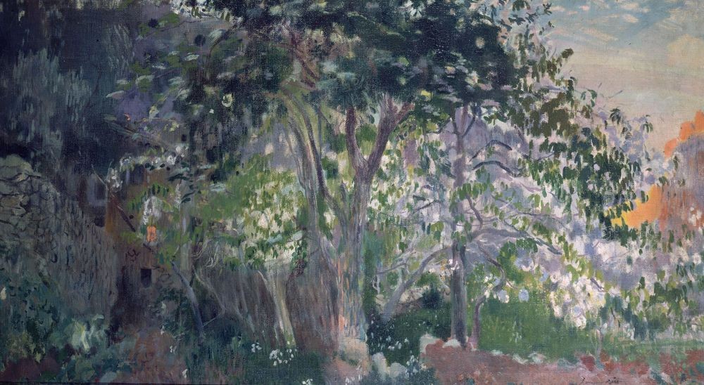 Joaquim Mir, Der graue Baum, Sa Calobra, Mallorca (Bäume, Mallorca, Natur, Landschaftsmalerei, Landschaft, Post-Modernisme, Malerei, Klassische Moderne, Wunschgröße, Wohnzimmer, Treppenhaus, bunt)