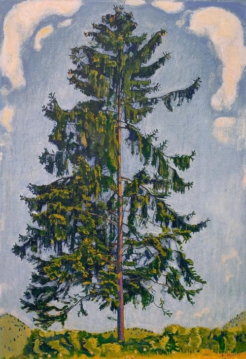Ferdinand Hodler, Tanne bei Chamby (Jugendstil,Landschaft,Tanne,Baum,Solitär (Baum))