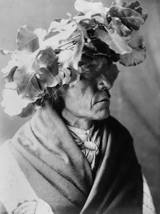 Edward S. Curtis, Unbekannt (CHEYENNE (INDIANER), KOPFBEDECKUNG, MANN, VÖLKERKUNDE, WILDER WESTEN, NATURVÖLKER, INDIANER, PORTRAIT, SONNENSCHUTZ, BLATT, AHORN, BRUSTBILD)