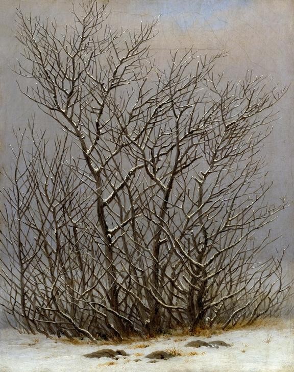 Caspar David Friedrich, Gebüsch im Schnee (Botanik,Deutsche Kunst,Jahreszeiten,Kunst,Landschaft,Winter,Schnee,Baum,Naturstudie,Strauch,Romantik)