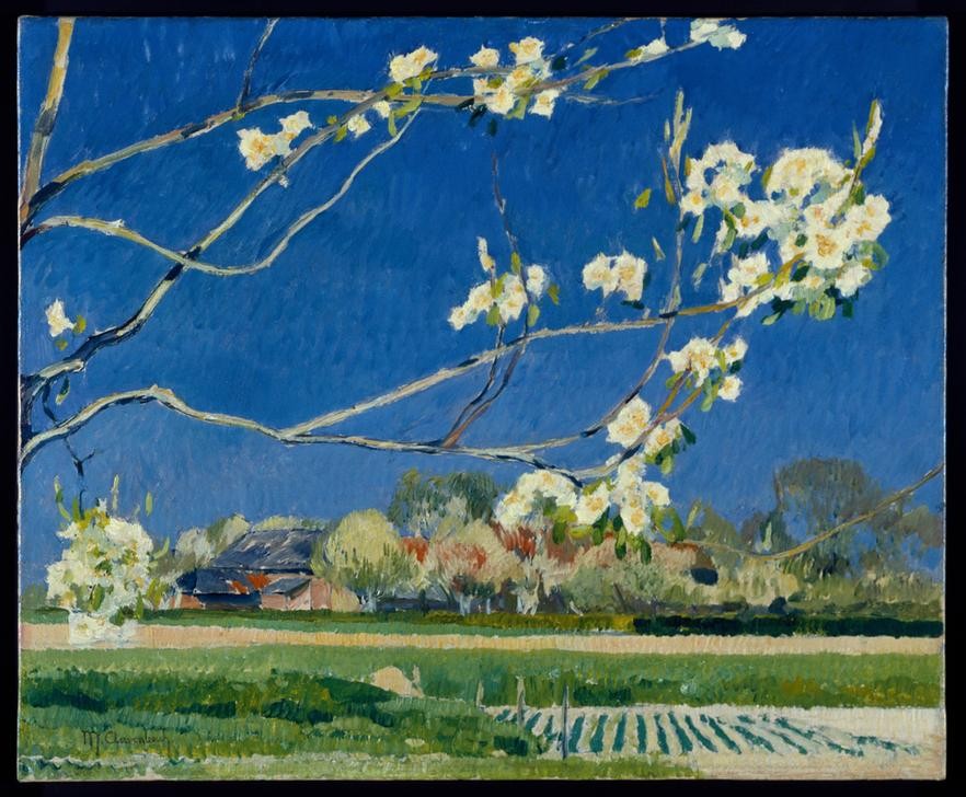 Max Clarenbach, Unbekannt (BAUMBLÜTE, DEUTSCHE KUNST, JAHRESZEITEN, KUNST, LANDSCHAFT, IMPRESSIONISMUS, FRÜHLING, KIRSCHBAUM, ZWEIG, PRIVATSAMMLUNG)