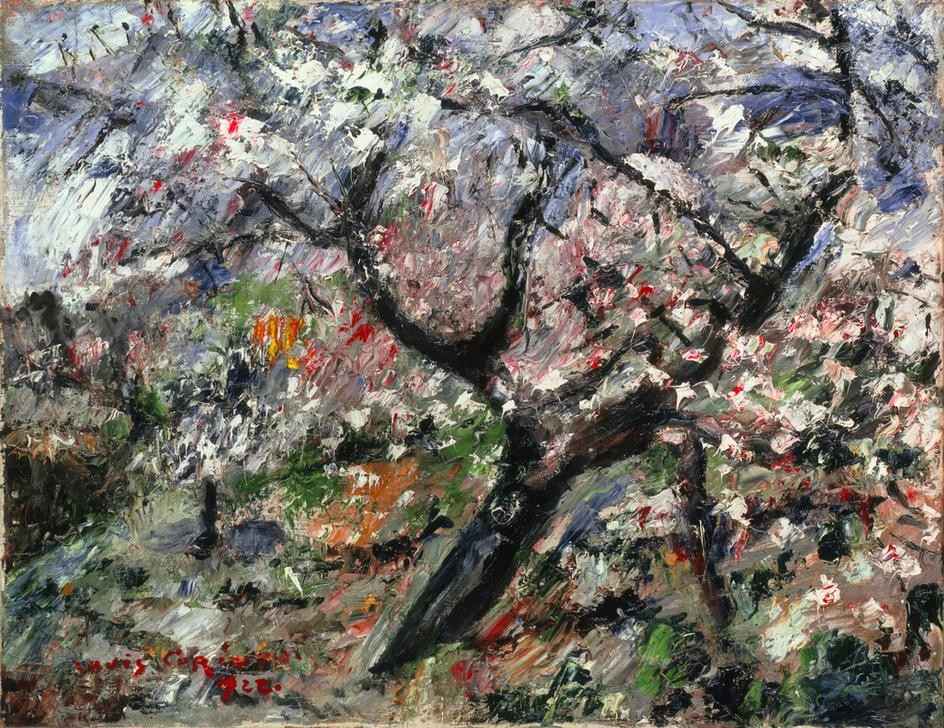 Lovis Corinth, Blühender Apfelbaum (Apfel,Baumblüte,Botanik,Deutsche Kunst,Garten Und Park,Jahreszeiten,Kunst,Landschaft,Obstbau,Obstgarten,Impressionismus,Frühling,Baum,Apfelbaum,Blüte,Obstbaum,Garten)
