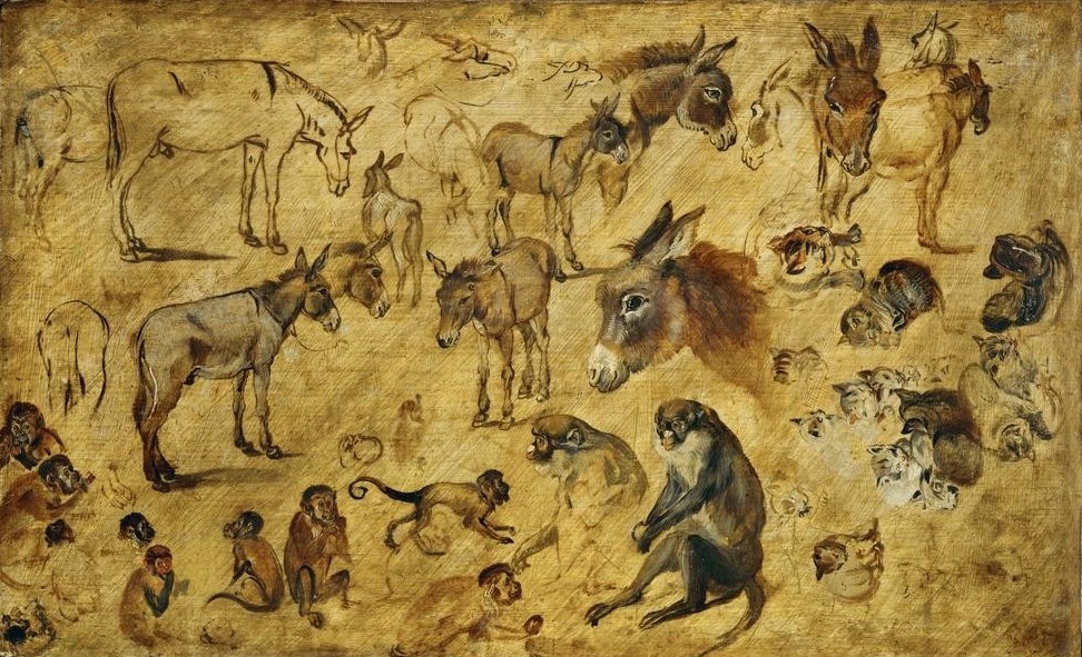 Jan Brueghel der Ältere, Tierstudien (Affe,Katze (Tier),Schautafeln Mit Verschiedenen Tierarten,Zoologie,Barock,Esel,Niederländische Kunst,Tier)
